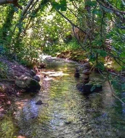 En Urb Truchas-el Bosque *